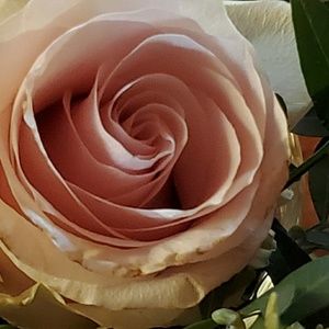 Meet your Posher, Cheryl